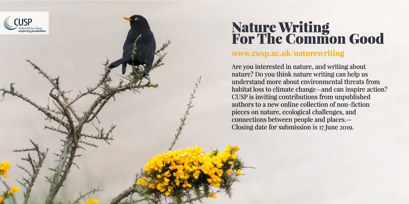 nature of research writing